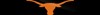 Texas Sports